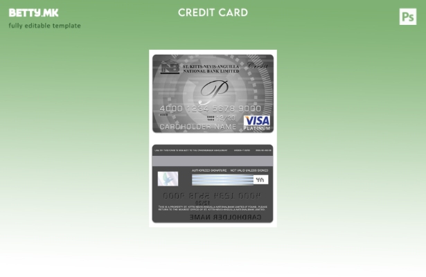 Модерен стил Шаблон за картички со виза платина со ограничена граница на Национа